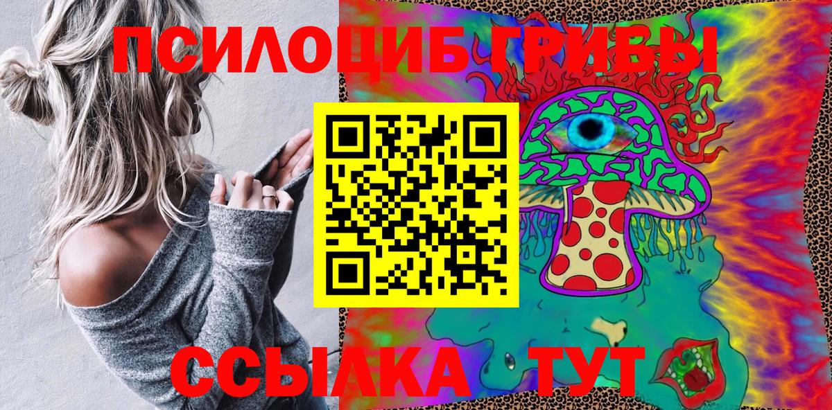 Кингисепп  Галлюциногенные грибы прущие грибы  наркота  Вход с VPN 